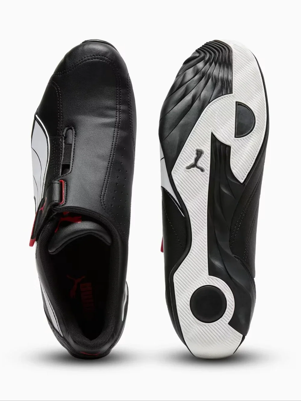 Puma redon move